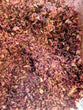 Redwine and Garlic Flavour